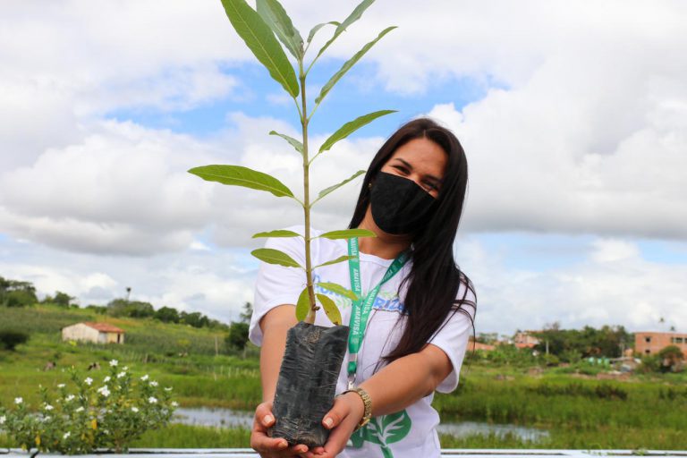 Vitória Arborizar: mudas de árvores nativas estão disponíveis para doação