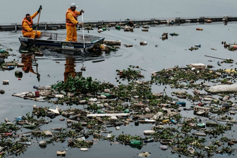 Esgoto despejado em rios e no mar deixa pescaria cada vez mais escassa no Recife