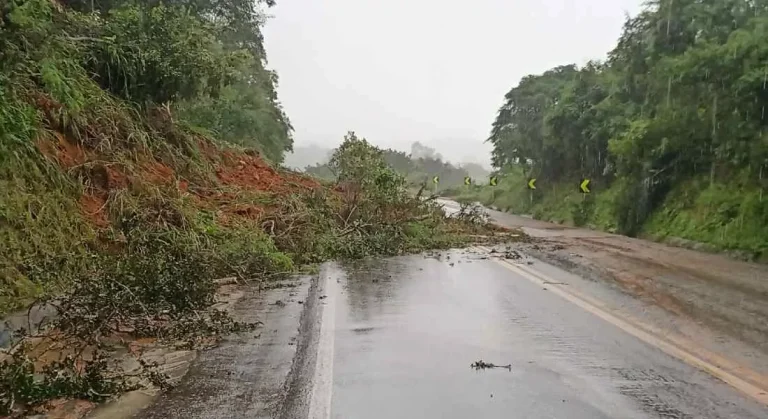 Após quedas de barreiras, trechos de rodovias no Agreste e na Zona da Mata Sul ficam interditados