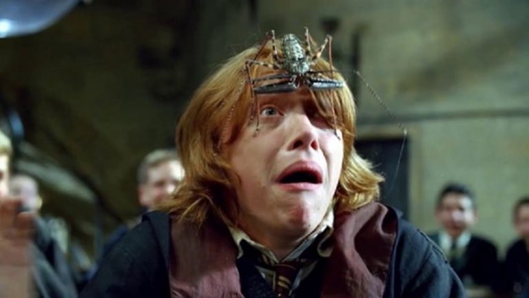 Hogwarts Legacy: Modo Aracnofobia adiciona patins às pernas de aranhas no lançamento do PS4 e Xbox One