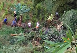 Motorista e Secretário de Agricultura de Primavera sofrem acidente em Amaraji